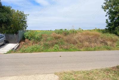 Teren de 9800 mp, în Central - 1