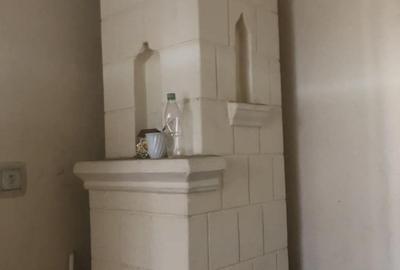 Casă cu 8 camere în Grojdibodu - 9