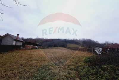 Casă cu 2 camere cu Teren 2443 Mp în Hidiș - 1