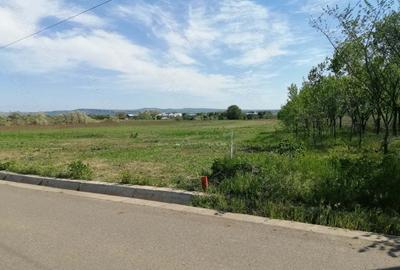 Teren de 6200 mp, în Săsenii Noi - 5