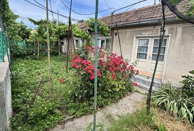 Casă cu 3 camere în Coiciu - 5