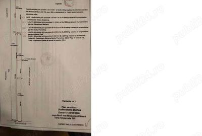 Vand teren casa in Moara-Micsunesti (IF) plus teren agricol - 3