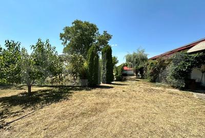 Domeniu de vanzare cu 17.000 mp teren, sat Oboga - 5