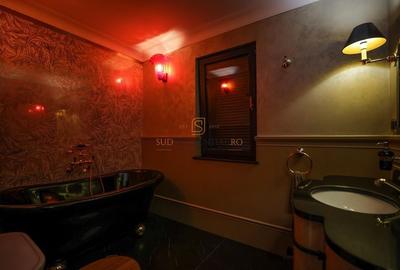 Apartament exclusivist tip duplex, 7 camere + curte, zona Parcul Carol - 30