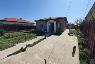 Casa de vacanta | Curte | Teren | Belciugatele | Calarasi - 27