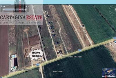 Tunari 21.000 mp Tunari 21.000 mp - 3