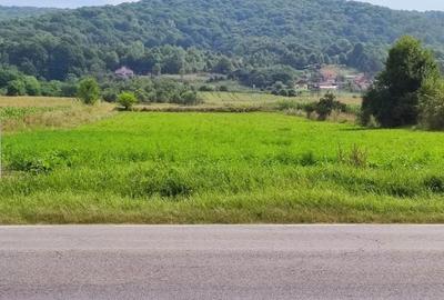 Teren în Băiculești - 4