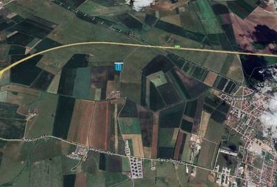 Teren agricol extravilan de 444 mp, în Turnișor - 3