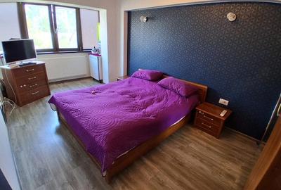Apartament cu 3 camere decomandat în Păcurari - 4