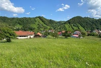 Teren de 1.450 mp, cu priveliste de carte postala, Bran, Moieciu, Brasov - 6