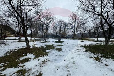 Teren Zarnesti /Bran/Predelut6 Strada Pe tarina - 1