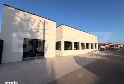 Spațiu comercial, de 245 mp, în Ulmi - 2