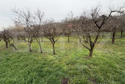 Casă cu 3 camere cu Teren 1000 Mp în Central - 12