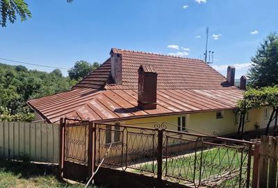 Casa in mediu rural cu teren - 3