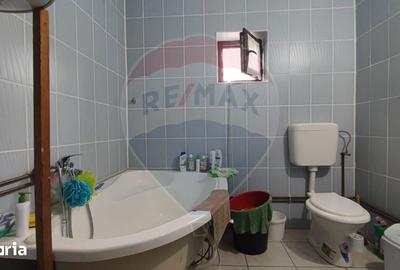 Casă cu 4 camere cu Teren 11769 Mp în Bulz - 7
