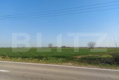 Teren de 11600 mp, în Central