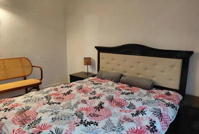 De inch iriat apartament 2 cam dec Zona Baia Comunala, parter - 6