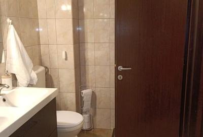 Apartament cu 3 camere decomandat, mobilat în Dudu - 9