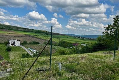 Teren de 600 mp, în Bărdești - 2