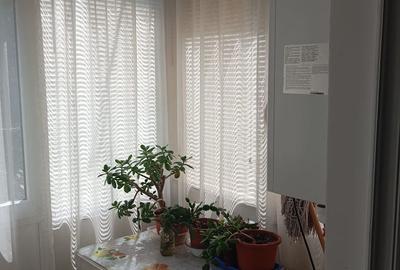 Apartament cu 2 camere în Rovine - 8
