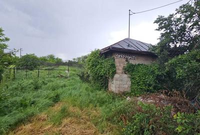 Teren de 1680 mp, în Sintești - 3