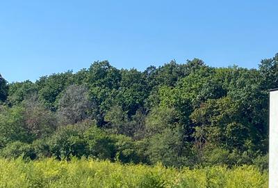 Vila noua eleganta si spatioasa, 5 cam, 4 bai, Laguna Albastra, cartier privat - 17