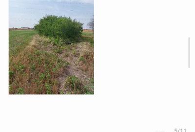 Teren de 4000 mp, în Berceni - 6