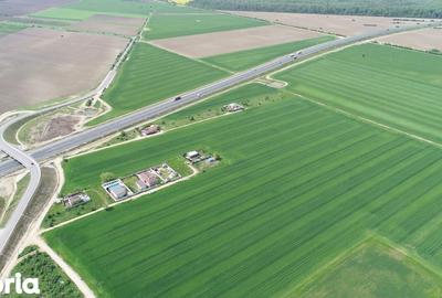 Teren de 40578 mp, în Ciorogârla - 11
