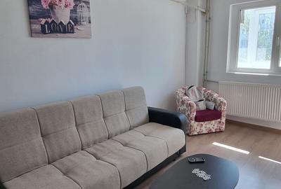 Apartament cu 2 camere decomandat, mobilat în Gorjului - 8