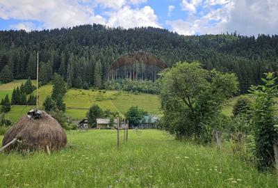 Teren Construcții intravilan de 4822 mp, în Central - 7