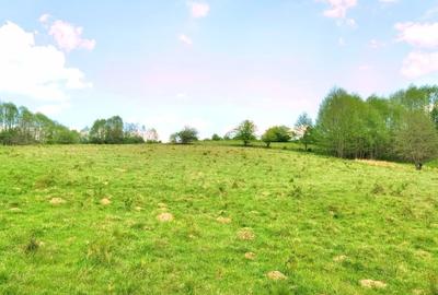 25.000 mp TEREN IDEAL AFACERE TURISM – AMENAJARE LAC DE PESCUIT, CIUCEA - CLUJ - 27
