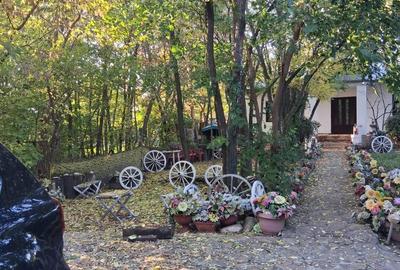 Casă cu 4 camere cu Teren 3000 Mp în Zorleni - 3