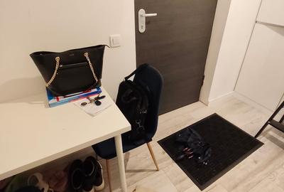 Garsonieră decomandată în Lujerului - 7
