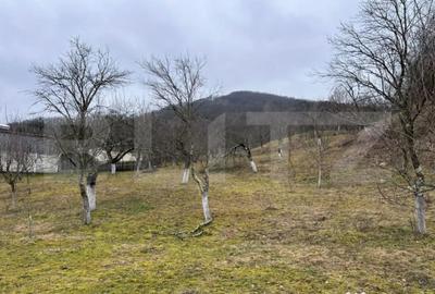 Teren în Stremț - 1