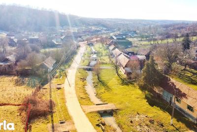 Casă cu 4 camere cu Teren 10486 Mp în Ohaba Lungă - 2