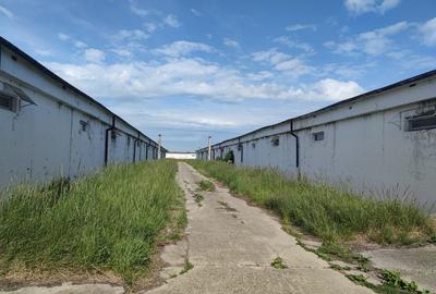 Spațiu industrial, de 1,200 mp, în Bod - 2