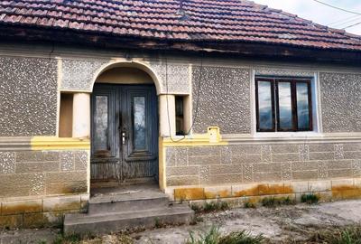 Casă individuală cu 2 camere cu Teren 550 Mp în Lipia - 3