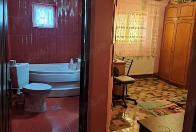 Casă cu Teren 738 Mp în Pișchia - 1