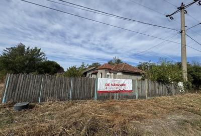 Casa din caramida cu teren 4185 mp in Comuna Manesti - 2