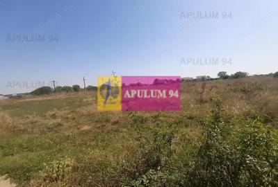 Teren de 1730 mp, în 1 Decembrie