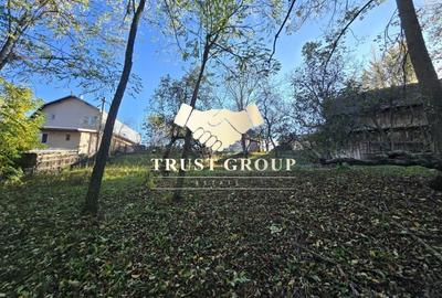 Casa S+P TEREN 1508mp Casa S+P TEREN 1508mp - 10