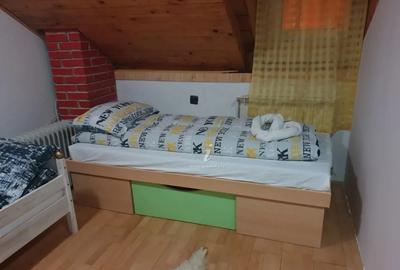 Cabana de tip duplex in Straja Lupeni - 3