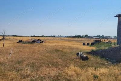 Teren în Zărand - 5