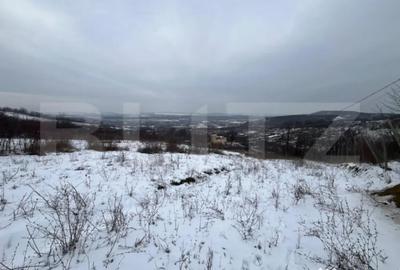 Teren în Vlădiceni - 3