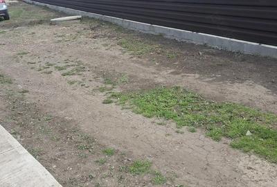 Casă cu 2 camere cu Teren 3300 Mp în Bozieni - 4