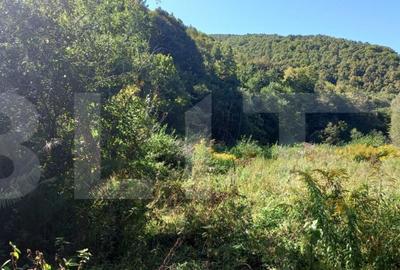 Teren de 9691 mp, în Mănăștur