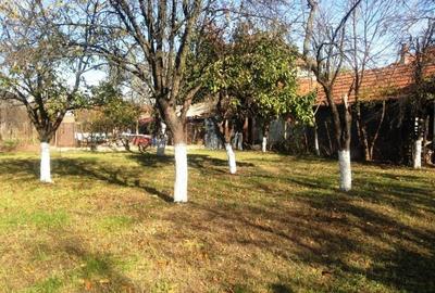 Comision 0% -Teren de constructii de vanzare – Timisoara, zona Ghiroda. - 4