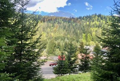 Teren Construcții intravilan de 1105 mp, în Malul Ursului - 5