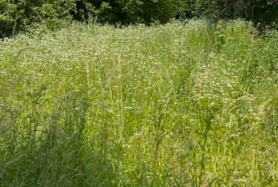 Teren 2.700mp cu PUZ in lucru pentru 3 unitati locative - 1