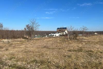 Gradistea -Ilfov, strada Nuferilor, teren intravilan 1000 mp 15m. - 12